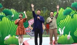 南关区最新爆料新闻视频,视频揭露惊人真相，引关注热议