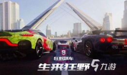 新奇爆料赛车视频大全下载,新奇爆料视频大全下载攻略