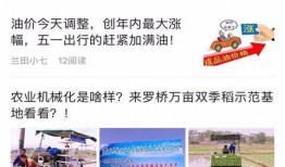 常宁新闻爆料网官网查询,最新动态盘点，聚焦本地热点事件