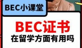 爆料的新闻什么意思啊英语,Summarizing the Latest Leaked News Headline