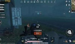 危机之夜最新爆料,揭秘最新爆料背后的惊人真相